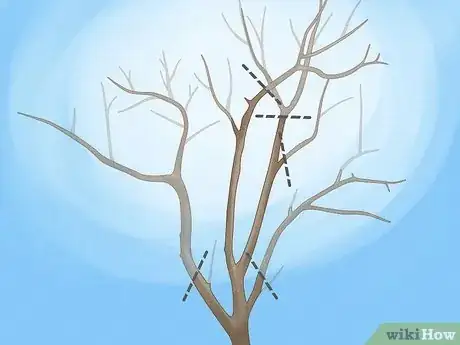 Imagen titulada Prune Guava Trees Step 6