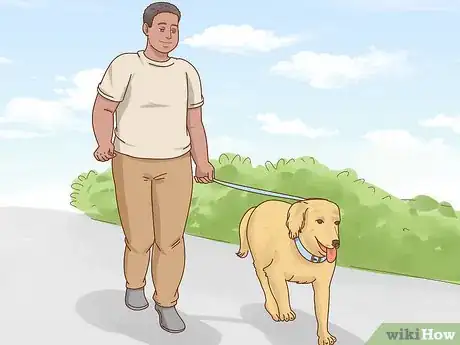 Imagen titulada Get a Dog to Stop Eating Dirt Step 10