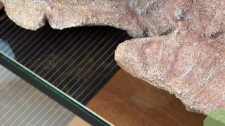 Imagen titulada Take Care of a Leopard Gecko That Won't Eat Step 1
