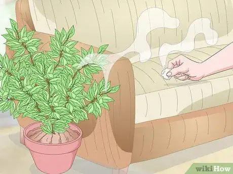 Imagen titulada Stop a Cat from Scratching the Couch Step 9