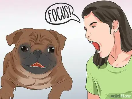 Imagen titulada Train Pugs Step 12