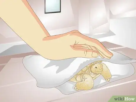 Imagen titulada Bathe a Tortoise Step 10