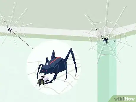 Imagen titulada Keep Flies Away From You and Your Room Step 4