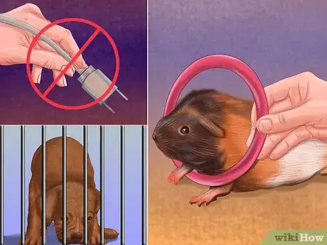 Imagen titulada Help a Guinea Pig Feel Less Anxious Step 7