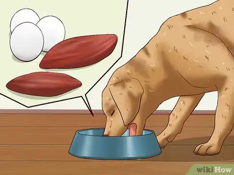 Imagen titulada Fatten Up a Dog Step 9
