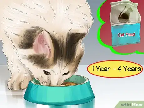 Imagen titulada Care for Ragdoll Cats Step 1