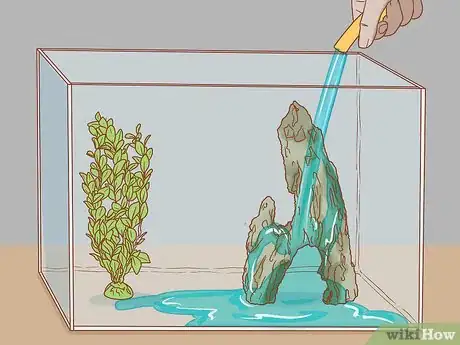 Imagen titulada Sanitize a Fish Tank Step 12