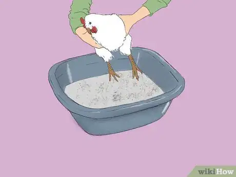 Imagen titulada Get Rid of Chicken Mites Step 3