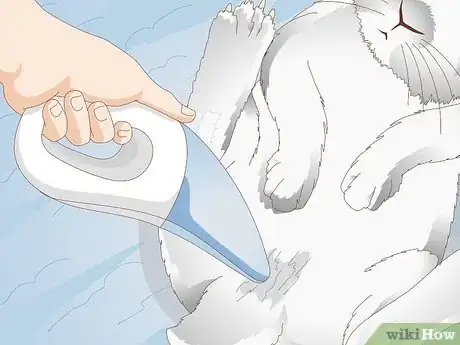 Imagen titulada Keep a Rabbit Clean Step 10