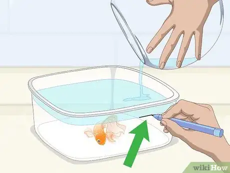 Imagen titulada Clean a Fish Bowl Step 1