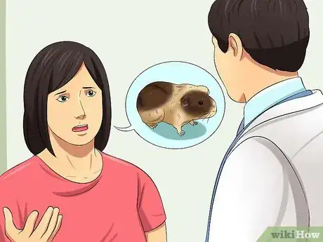 Imagen titulada Feed Guinea Pigs Vitamin C Step 10