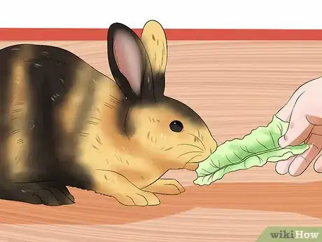 Imagen titulada Take Care of a Pregnant Rabbit Step 3