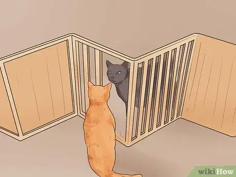 Imagen titulada Bring a Second Cat Into the Family and Not Make Your Old Cat Upset Step 8