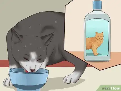 Imagen titulada Clean a Cat's Teeth Step 14