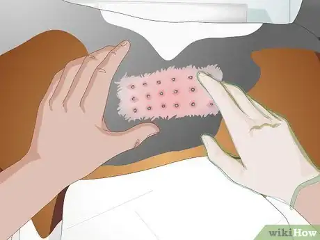 Imagen titulada Treat a Yeast Skin Infection in a Dog Step 3
