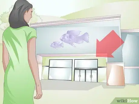 Imagen titulada Pick a Betta Fish Step 1