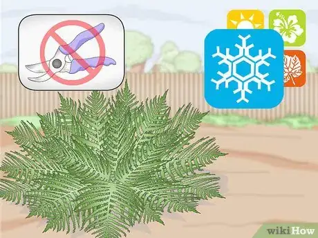 Imagen titulada Prune Ferns Step 6