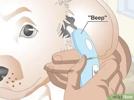 Imagen titulada Measure a Dog's Temperature Step 11