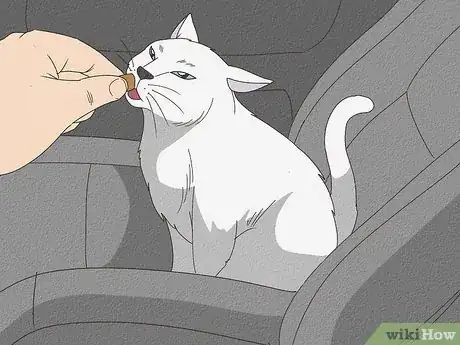 Imagen titulada Travel with a Cat Step 1