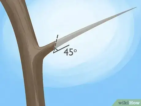 Imagen titulada Prune Guava Trees Step 7