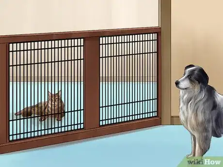Imagen titulada Treat a Cat With a Cold Step 5