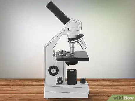 Imagen titulada Know if You Have Dust Mites Step 1