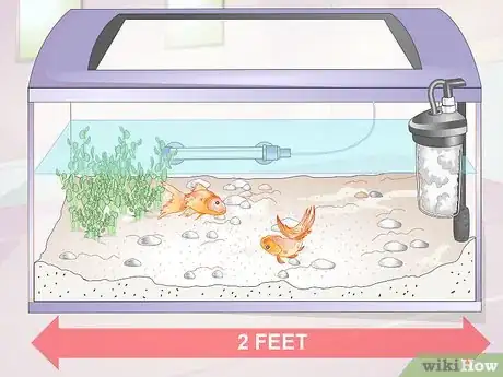 Imagen titulada Introduce a Pleco to a Goldfish Tank Step 4