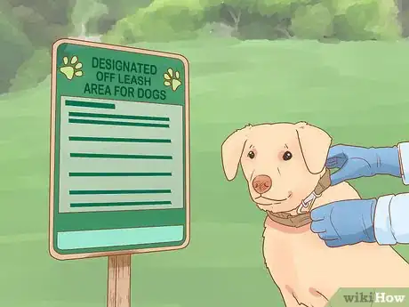 Imagen titulada Introduce a Dog to a Dog Park Step 12