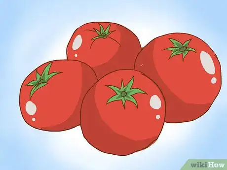 Imagen titulada Grow Tomatoes in Pots Step 1