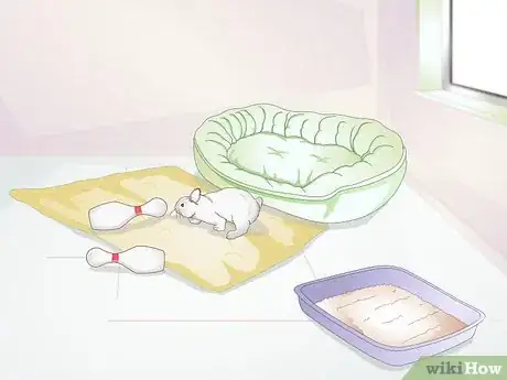 Imagen titulada Keep a Rabbit Clean Step 13