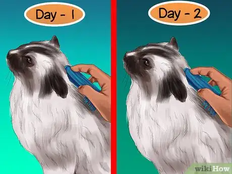 Imagen titulada Care for Ragdoll Cats Step 7