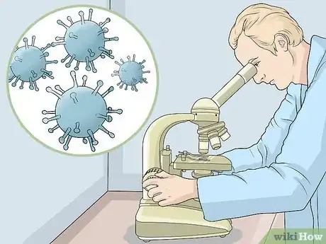 Imagen titulada Diagnose and Treat Feline Infectious Peritonitis (FIP) Step 6