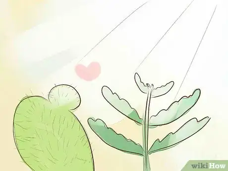 Imagen titulada Protect Your Garden During a Harsh Summer Step 5