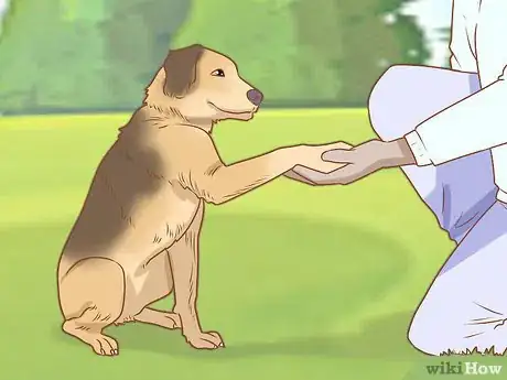 Imagen titulada Treat Your Dog Step 9