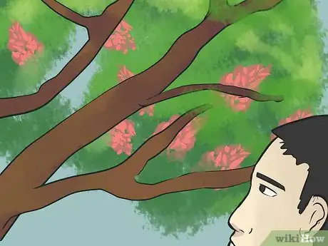 Imagen titulada Prune a Crepe Myrtle Step 11