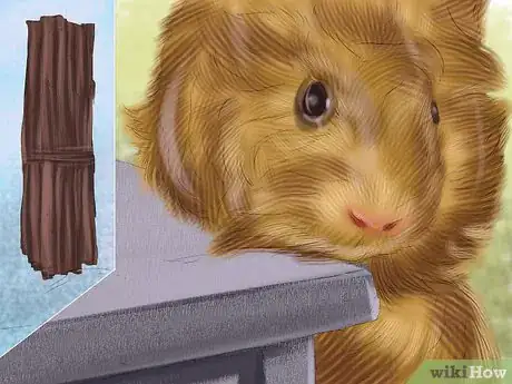 Imagen titulada Help a Guinea Pig Feel Less Anxious Step 6