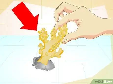 Imagen titulada Make a 5 Gallon Aquarium Interesting Step 2