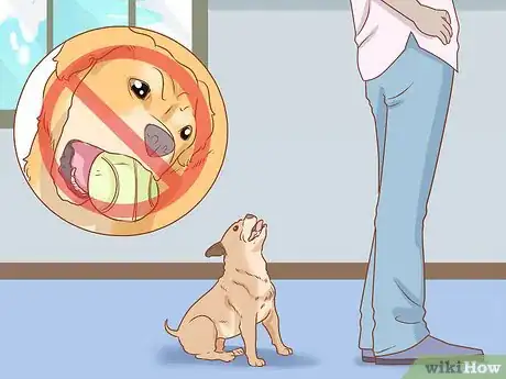 Imagen titulada Treat Your Dog Step 7