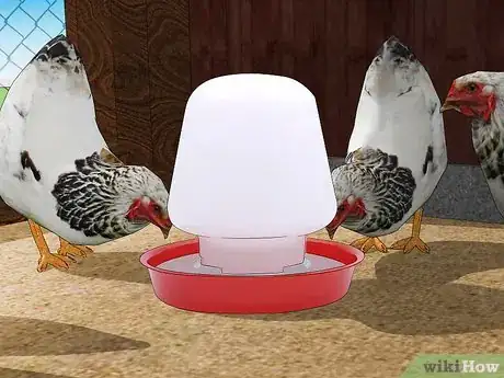 Imagen titulada Keep Chickens from Eating Their Own Eggs Step 7
