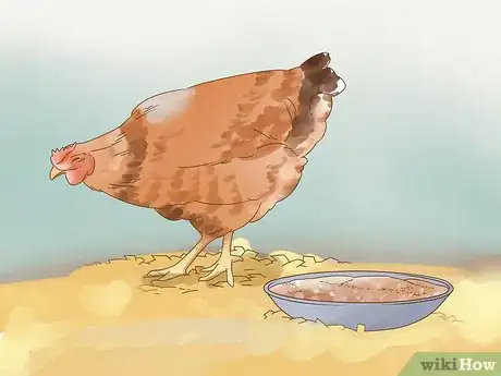 Imagen titulada Tell if a Chicken is Sick Step 2
