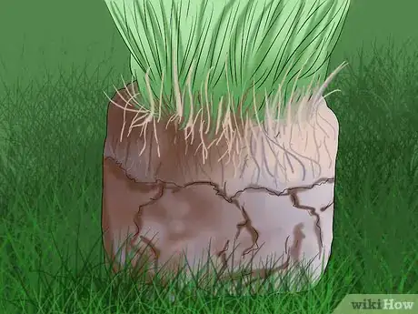 Imagen titulada Get and Maintain a Healthy Lawn Step 16