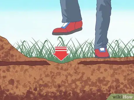 Imagen titulada Catch Moles Step 7