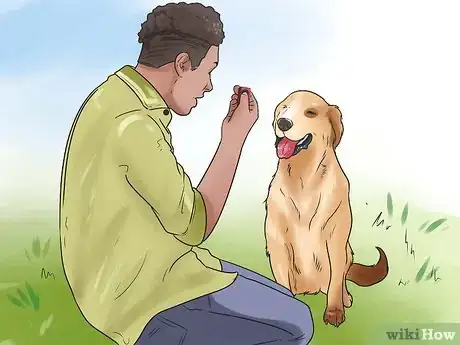 Imagen titulada Teach Your Dog Tricks Step 7