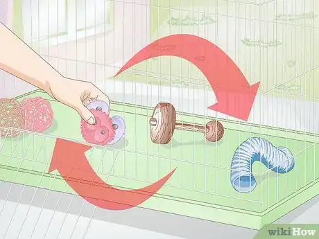Imagen titulada Exercise Your Guinea Pig Step 5