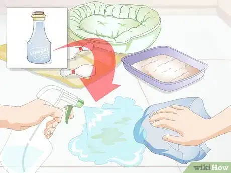 Imagen titulada Keep a Rabbit Clean Step 16