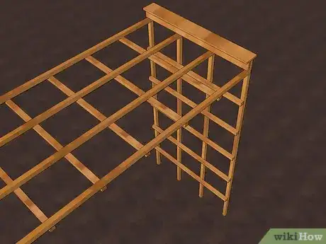 Imagen titulada Grow Gourds Step 3