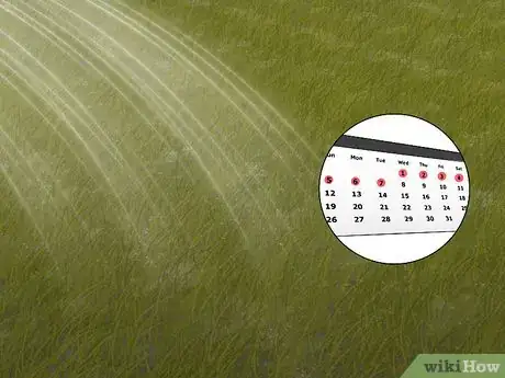 Imagen titulada Care for Burned Grass Step 3