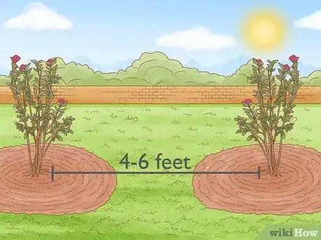 Imagen titulada Grow Crepe Myrtle Step 9