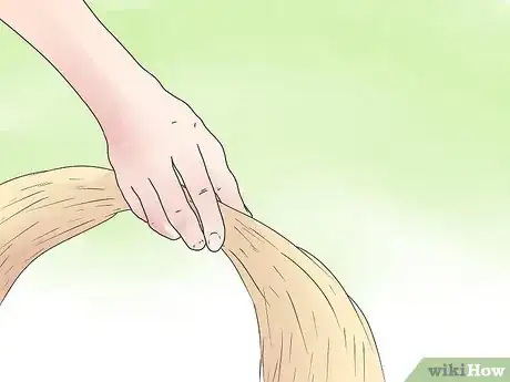 Imagen titulada Care for Mini Lop Rabbits Step 5