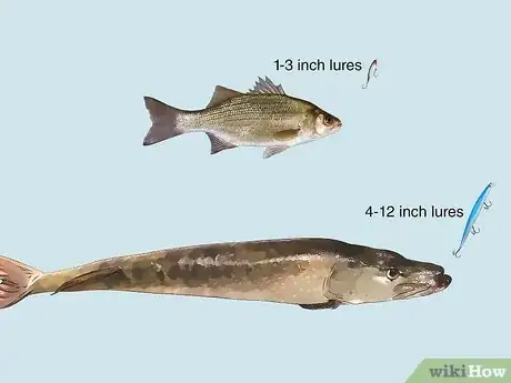 Imagen titulada Use Fishing Lures Step 2